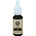 Energie rostlin Bachovy esence 32 Vine Esence respektu 20 ml – Hledejceny.cz