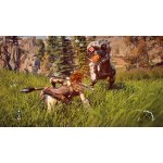 Horizon: Zero Dawn – Zboží Dáma