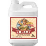 Advanced Nutrients B-52 250 ml – Zbozi.Blesk.cz