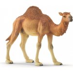Schleich 14832 Wild Life Dromedary – Hledejceny.cz