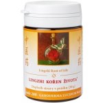 TCM Herbs Lingzhi Kořen života 200 Ganoderma 30 g práškového extraktu – Hledejceny.cz