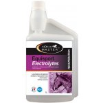 Horse Master Equisport Electrolyte 5 l – Sleviste.cz