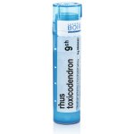 RHUS TOXICODENDRON POR 9CH GRA 4G – Hledejceny.cz