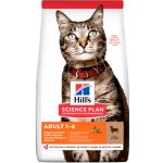 Hill’s Feline Adult Lamb & Rice 1,5 kg – Hledejceny.cz