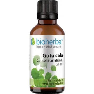 Bioherba Gotu Kola kapky tinktura 50 ml – Hledejceny.cz