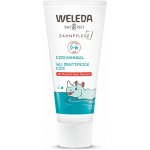 Weleda Dětský zubní gel s fluoridem 50 ml – Hledejceny.cz
