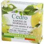 Dal Frantoio mýdlo Cedro 100 g – Zbozi.Blesk.cz