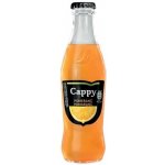 Cappy Pomeranč vratné sklo 24 x 250 ml – Zboží Dáma