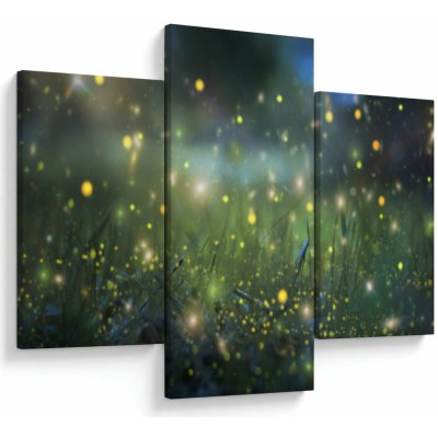 Obraz - Kouzelná noc, třídílný 90x60 cm – Hledejceny.cz