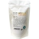 Zelené Drahokamy Psyllium bílé jitrocel osemení 100 g – Hledejceny.cz