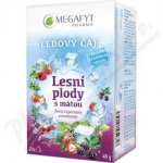 Megafyt Ledový čaj Lesní plody s mátou 20 x 2 g – Zbozi.Blesk.cz