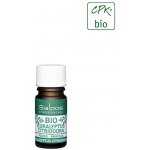 Saloos bio esenciální olej EUKALYPTUS CITRIODORA pro aromaterapii 5 ml – Hledejceny.cz