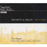 Trio Rippas - Organ & Baroque Transcrip – Sleviste.cz
