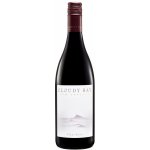 Cloudy Bay Pinot Noir červené 2021 13,5% 0,75 l (holá láhev) – Hledejceny.cz