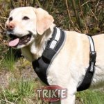 Trixie silácká činka 100 kg/15 cm – Hledejceny.cz