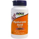 Now Foods Foods Hyaluronová kyselina s MSM 50 mg 60 rostlinných kapslí – Hledejceny.cz