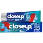 Closeup Everfresh Peppermint Drops 90 g – Hledejceny.cz