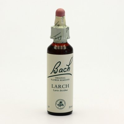 Bachovy květové esence Modřín opadavý Larch 20 ml – Zbozi.Blesk.cz