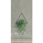 Prosperplast Závěsný držák na květináč SHOWY III černý – Zboží Dáma