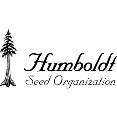 Humboldt seeds organisation Sapphire OG Počet ks Feminizované: 10