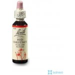 Bachovy květové esence Kaštan červený Red Chestnut 20 ml – Hledejceny.cz