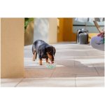 Virbac Vet Aquadent 250 ml – Zbozi.Blesk.cz