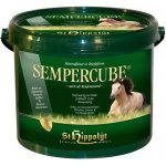 St.Hippolyt SemperCube 10 kg – Zboží Dáma