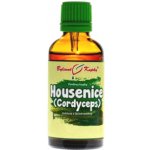 Bylinné kapky HOUSENICE ČERVENÁ Cordyceps tinktura 50 ml – Hledejceny.cz