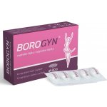 Borogyn vaginální čípky 10 x 2 g – Zboží Dáma