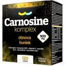 Carnosine komplex 900 mg SALUTEM tablet 120 ks