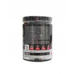 Best Body nutrition Professional BCAA powder 450 g – Hledejceny.cz