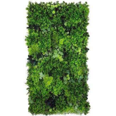 Vertikální zahrada z umělých rostlin STUDIOGREEN model 15, 50x100cm – Zboží Mobilmania