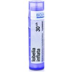 LOBELIA INFLATA POR 30CH GRA 1X4G – Hledejceny.cz