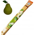 NARA natur HRUŠKA ovocný lavaš SLAZENÝ 140 g – Sleviste.cz