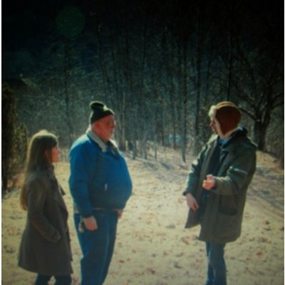 DIRTY PROJECTORS SWING LO MAGELLAN/VINYL – Hledejceny.cz