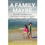 A Family, Maybe: Two Dads, Two Babies, and the Court Cases That Brought Us Together Igoudin LanePaperback – Hledejceny.cz