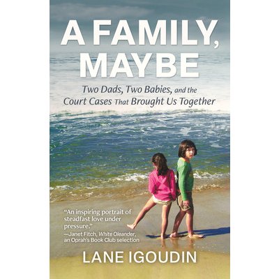 A Family, Maybe: Two Dads, Two Babies, and the Court Cases That Brought Us Together Igoudin LanePaperback – Hledejceny.cz