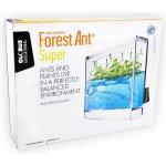 Forest Ant Ecoterrarium – Zboží Mobilmania