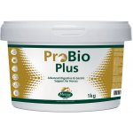 Mervue PRO-BIO FORTE doplněk pro koně 1 kg – Hledejceny.cz
