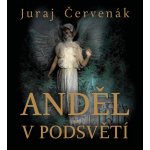 Anjel v podsvetí – Hledejceny.cz