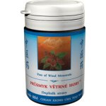 TCM Herbs Průsmyk větrné hory 100 tablet – Hledejceny.cz