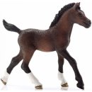 Schleich 13762 Arabský kůn hříbě