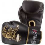 Hayabusa Premium Muay Thai – Zboží Mobilmania