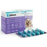 Zylkène veterinární přípravek 75mg 10 tbl – Hledejceny.cz