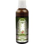 Naděje Kustovnice čínská bylinná tinktura 50 ml – Hledejceny.cz