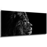 Skleněný obraz 1D panorama - 120 x 50 cm - Stunning facial portrait of male lion on black background in bla Ohromující obličej portrét lva na černém pozadí v bla – Hledejceny.cz