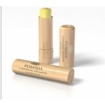 Regina pomáda s měsíčkem zahradním 4,5 g – Zboží Dáma