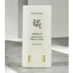 Beauty Of Joseon Matte Sun Stick Mugwort + Camelia opalovací krém v tyčince SPF50+ 18 g – Zboží Dáma