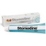 ICF Stomodine gel 30 g – Zboží Mobilmania