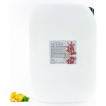 PM Aqualog esence do parních kabin citron-máta 812-010/D 10 l – Hledejceny.cz